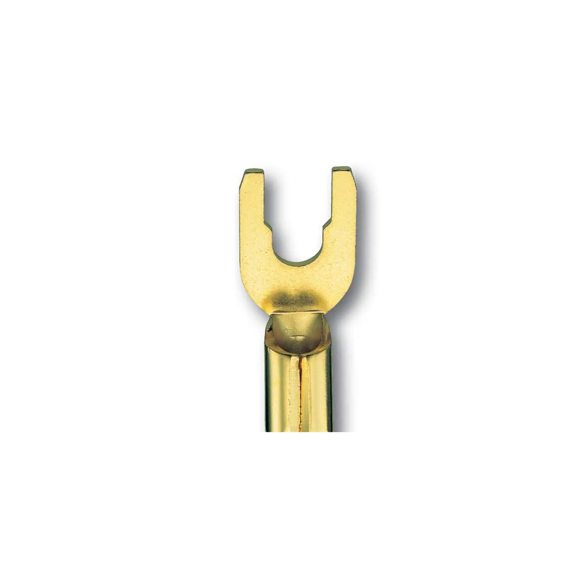 Screw Type