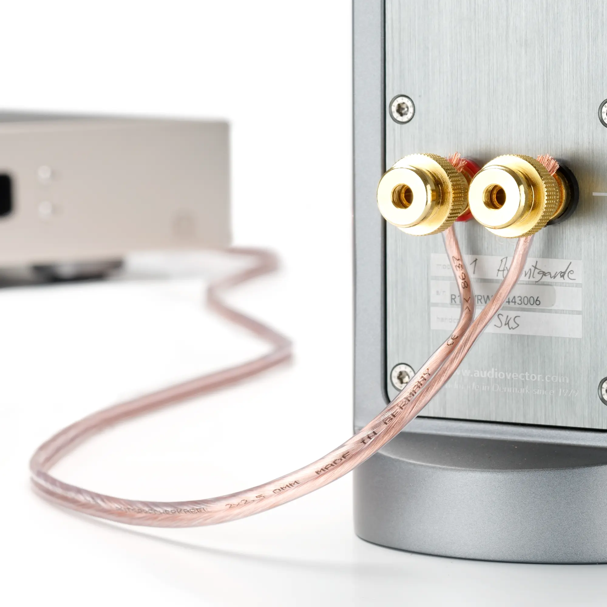 Close-up of a Star copper cable connected to a speaker and amplifier.