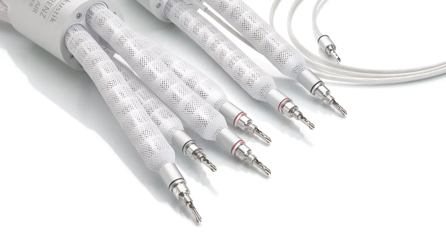 in-akustik Reference LS-8005 AIR Pure Silver Cable