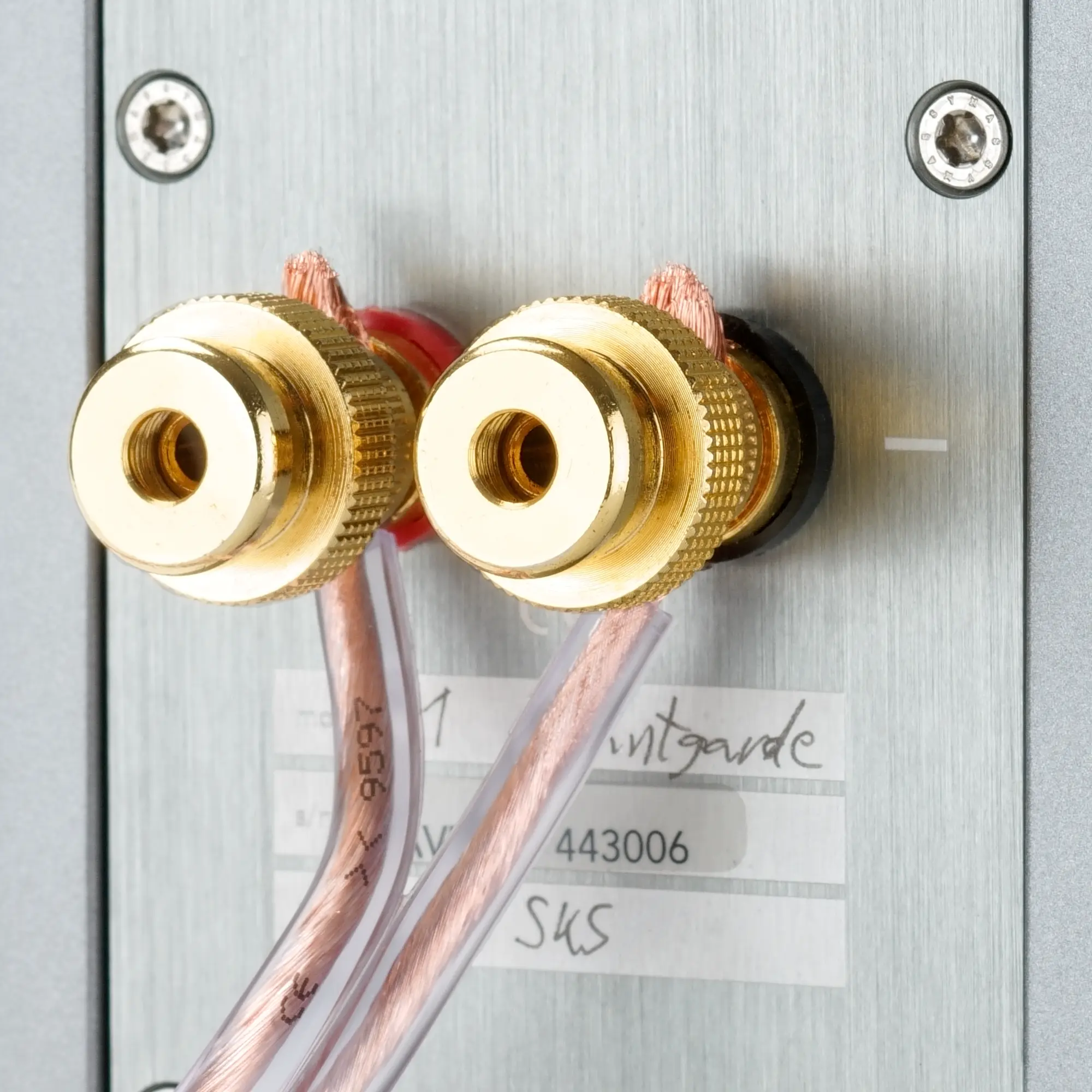Close-up of a premium copper cable connected to a speaker.