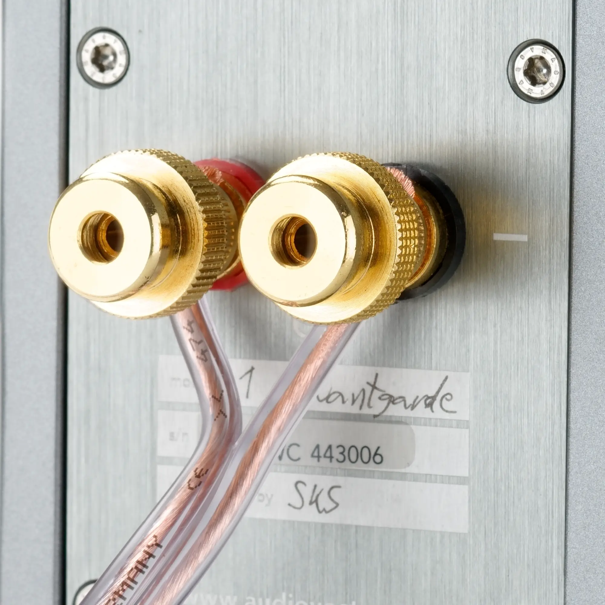 Close-up of a premium copper cable connected to a speaker.